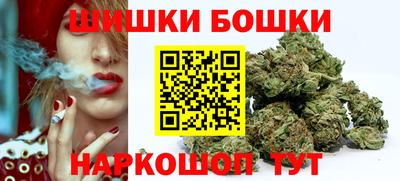стаф Новозыбков