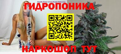стаф Новозыбков