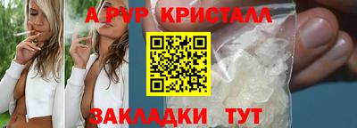 стаф Новозыбков